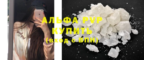 крисы Алзамай