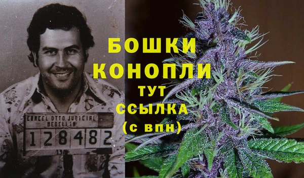 трава Алексеевка