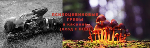 трава Алексеевка