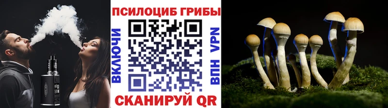 Галлюциногенные грибы мухоморы  Заинск 